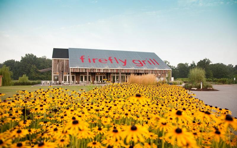 sunflower field outside of Firefly Grill